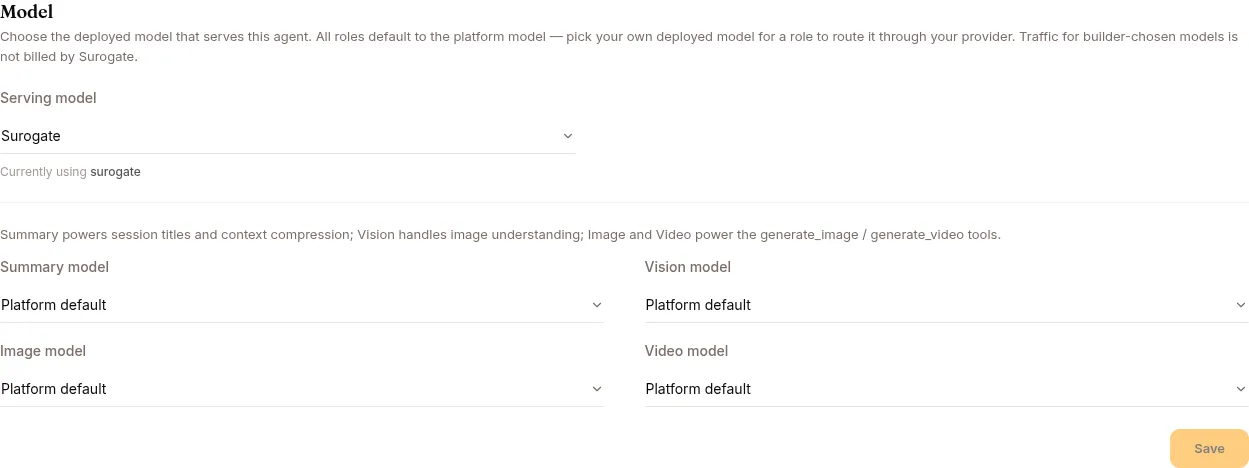 The Model tab: the serving model plus the summary, vision, image and video role models