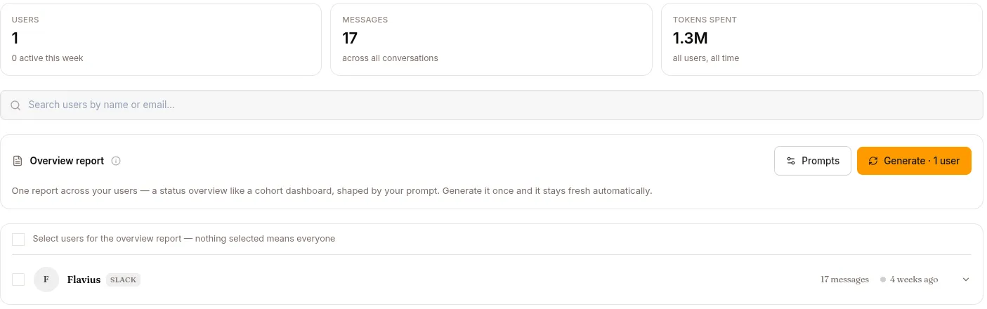 The Insights tab: user, message and token totals, and the overview report