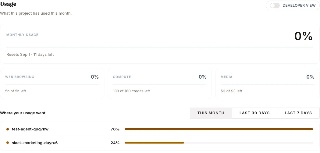 The Usage tab: the monthly meter, the browsing, compute and media wallets, and usage per agent